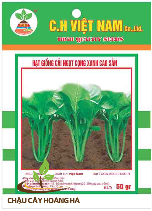 Hạt giống cải ngọt cọng xanh cao sản