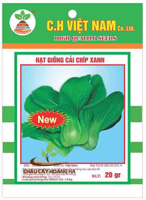 Hạt giống cải chíp xanh