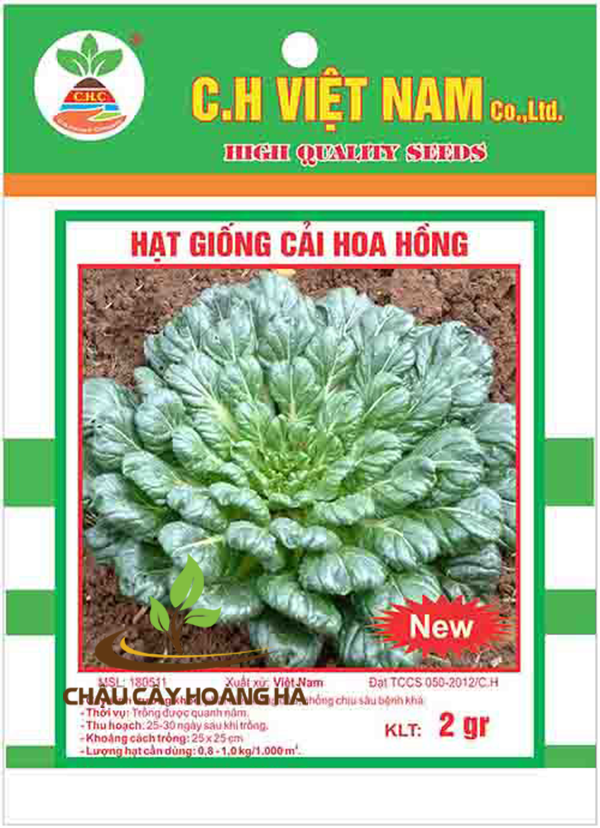 Hạt giống cải hoa hồng