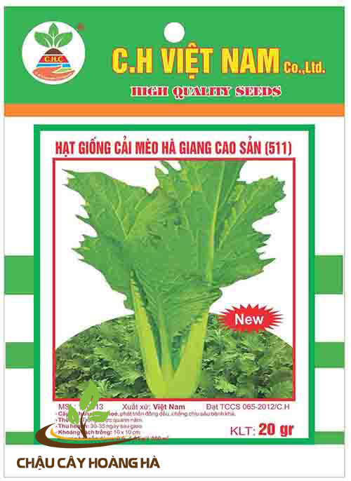 Hạt giống cải mèo Hà Giang cao sản