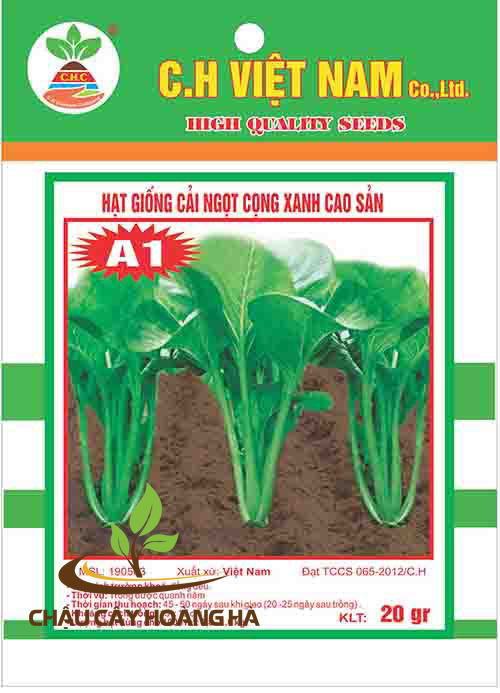 Hạt giống cải ngọt cọng xanh cao sản 20gr