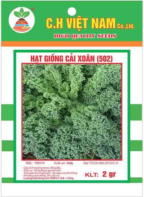 Hạt giống cải xoăn