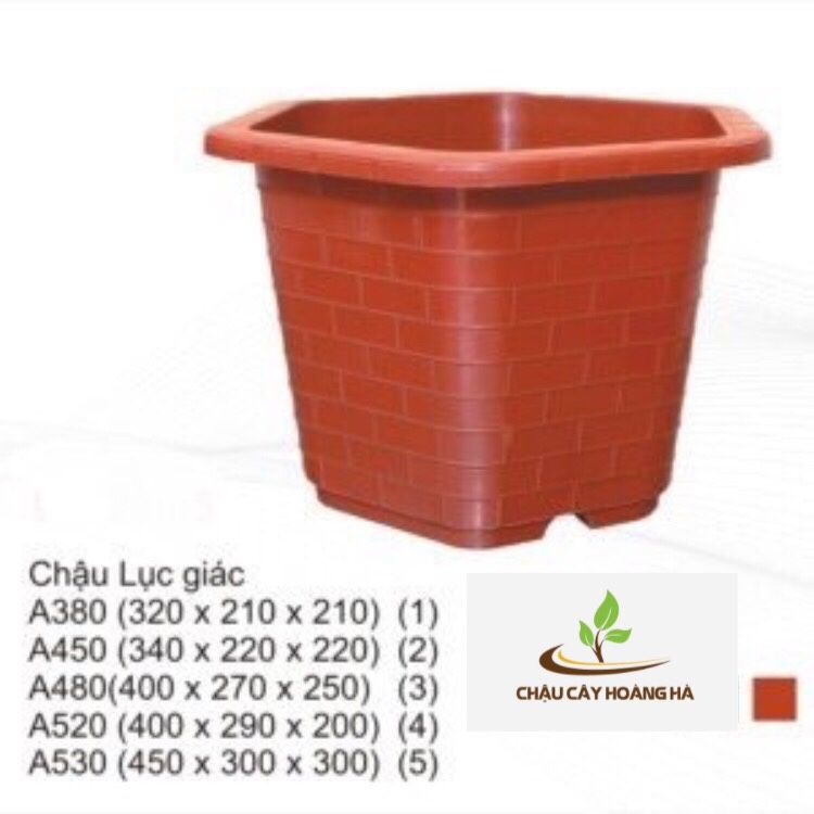 Chậu nhựa lục giác