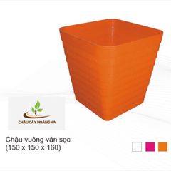 Chậu vuông vân sọc