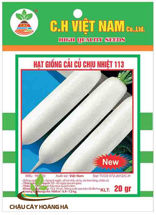 Hạt giống củ cải chịu nhiệt 113