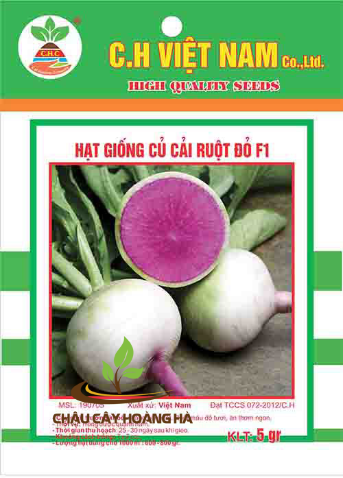 Hạt giống củ cải ruột đỏ F1