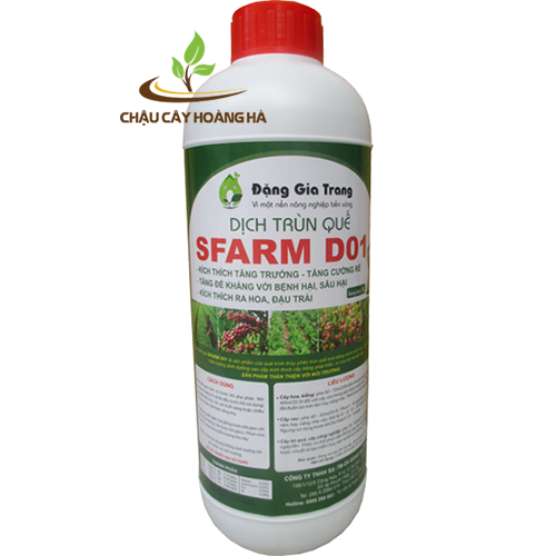 DỊCH TRÙN QUẾ SFARM D01 Đặng Gia Trang 1 lít