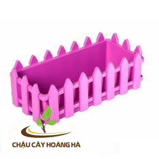 Chậu hàng rào 03