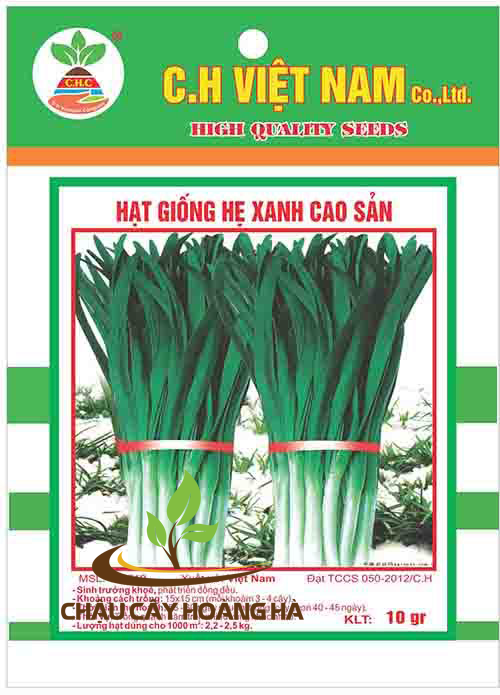 Hạt giống hẹ xanh cao sản