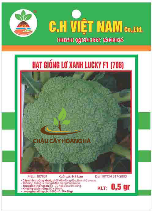 Hạt giống lơ xanh lucky F1