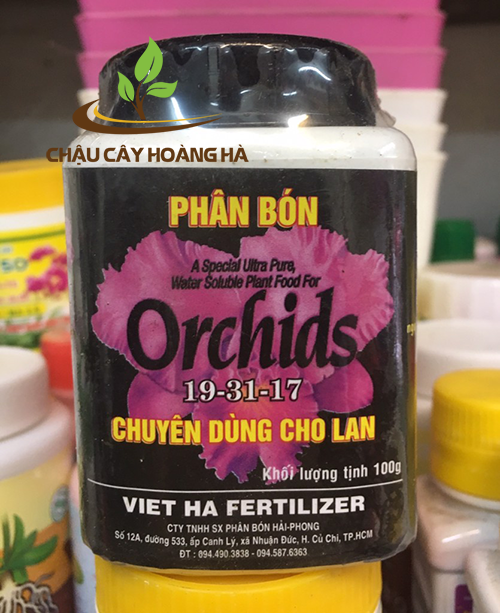 Phân bón Orchids 19-31-17