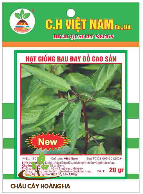 Hạt giống rau đay đỏ cao sản