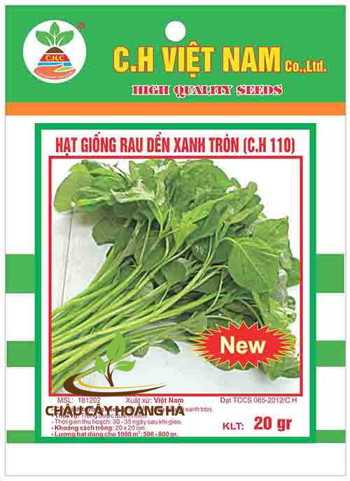 Hạt giống rau dền xanh tròn