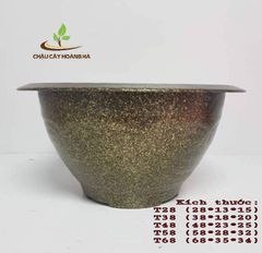 Chậu trồng cây cảnh