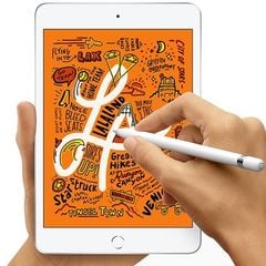 iPad Mini 5 7.9
