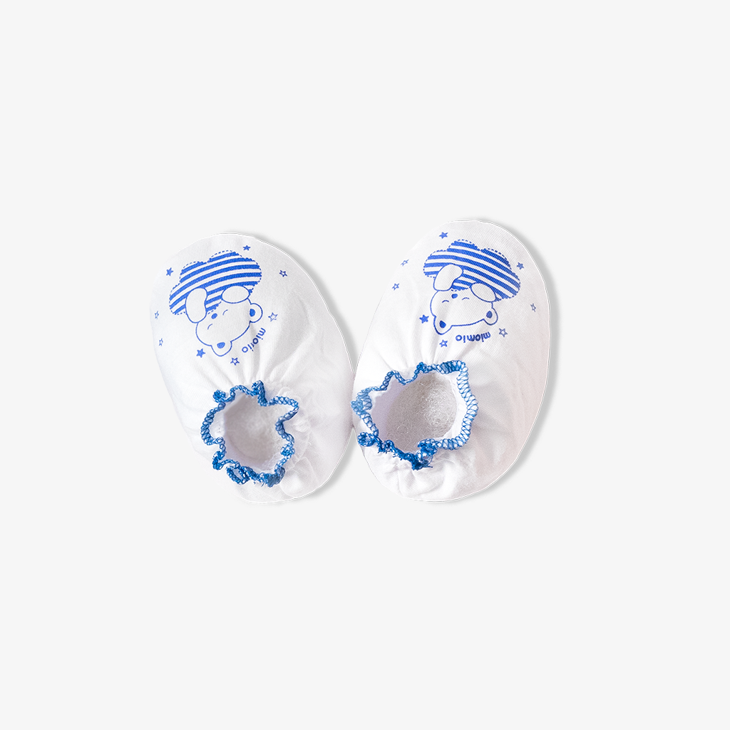 Bao chân bèo Gấu Mây xanh