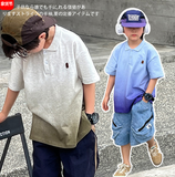  AO202410- Polo loan màu 