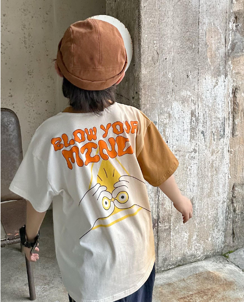 AO202409- Áo thun loan màu 