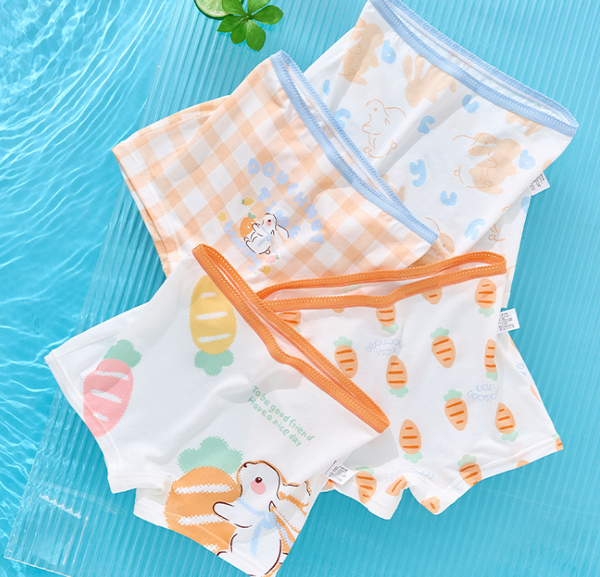  QC202401- Quần chip 