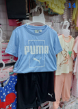  PUMA-KG1 