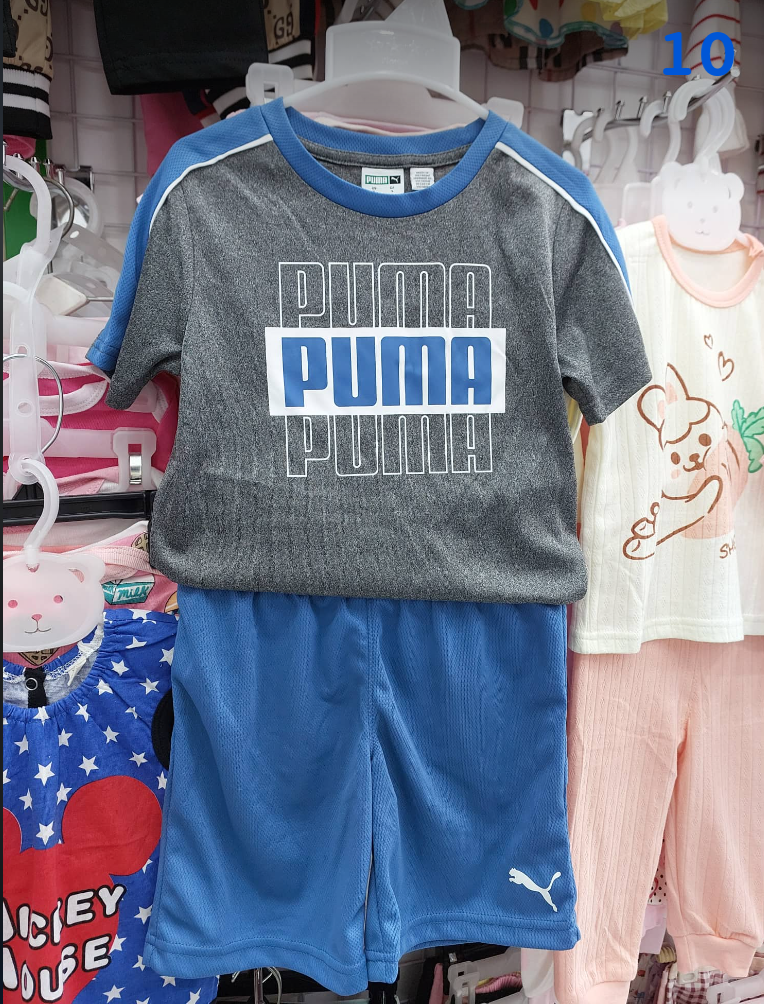  PUMA-KG1 