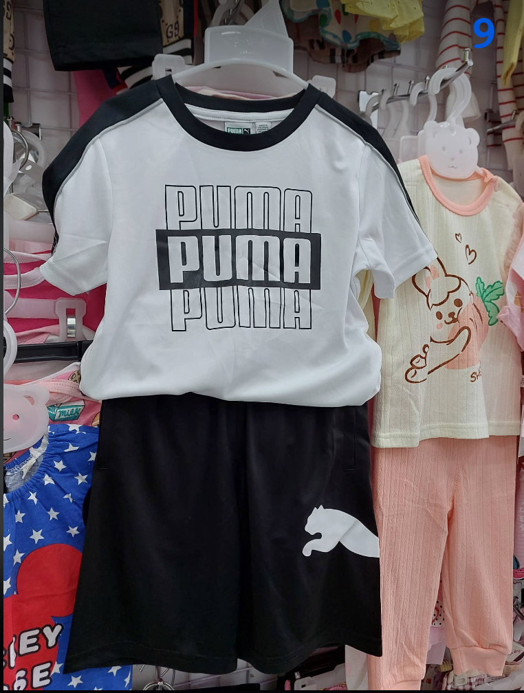  PUMA-KG1 