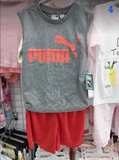  PUMA-KG1 