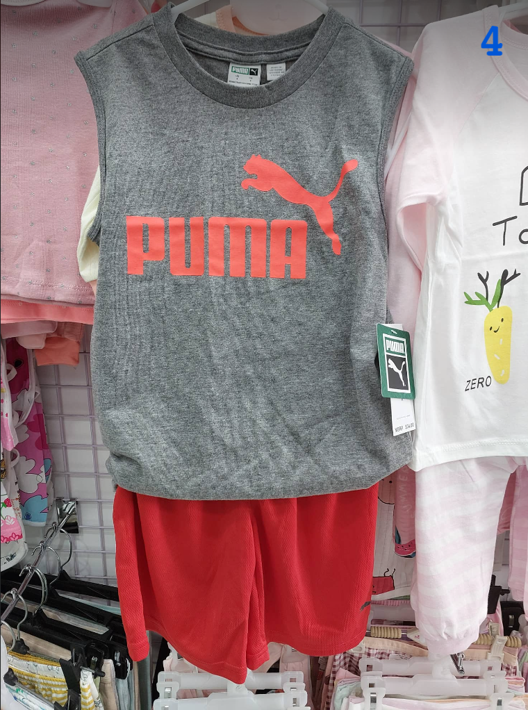  PUMA-KG1 