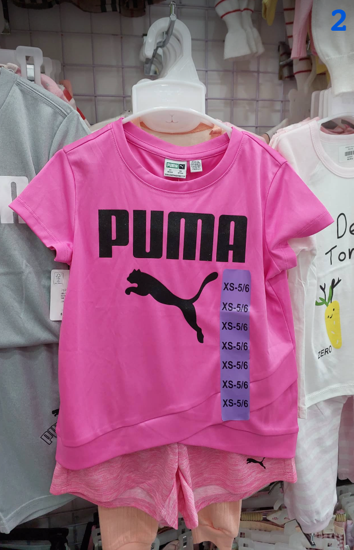  Puma-KG2 