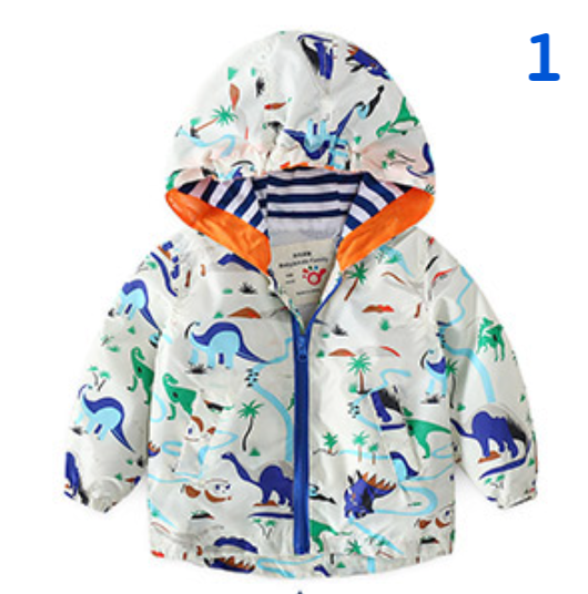  AO202253- Áo khoát 