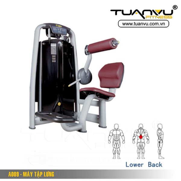 Máy tập lưng A009, May tap lung A009