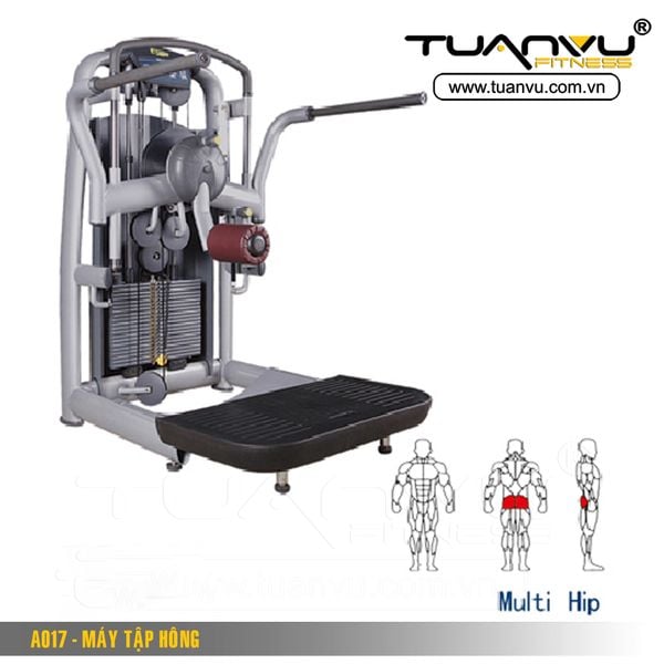 Máy tập hông A017, May tap hong A017