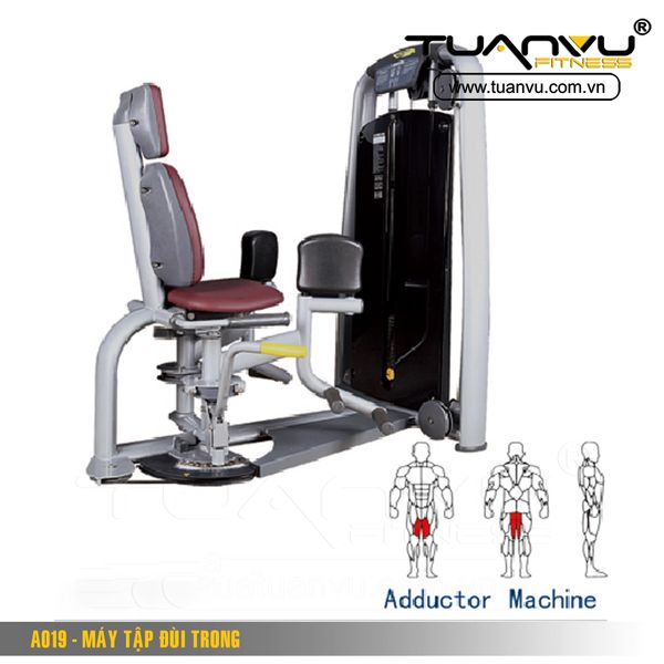 Máy tập đùi trong A019, May tap dui trong A019