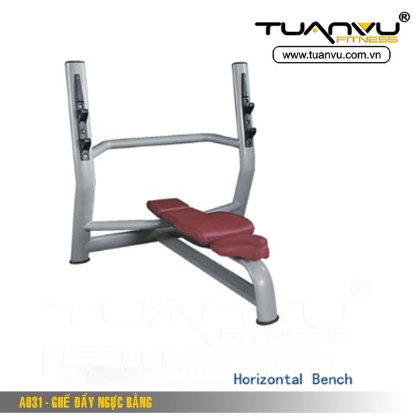 Ghế đẩy ngực bằng A031, Ghe day nguc bang A031,A031