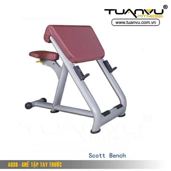 Ghế tập tay trước A036, Ghe tap tay truoc A036, A036