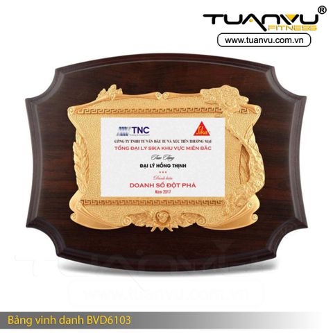 Bảng vinh danh BVD6103, Bang vinh danh BVD6103