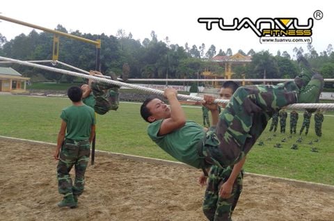 Dây leo ngang quân đội TVQD08, day leo ngang quan doi TVQD08