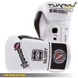 Găng tay boxing HAYABUSA, Gang tay boxing HAYABUSA, găng tay boxing, gang tay boxing