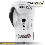 Găng tay boxing HAYABUSA, Gang tay boxing HAYABUSA, găng tay boxing, gang tay boxing