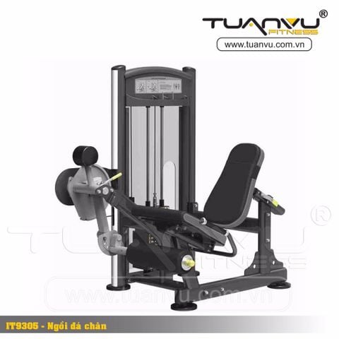 Máy tập đá đùi Impulse IT9305, may tap da dui Impulse IT9305, Impulse IT9305, IT9305