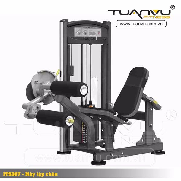 Máy tập cơ đùi sau Impulse IT9307, may tap co dui sau  Impulse IT9307,  Impulse IT9307, IT9307