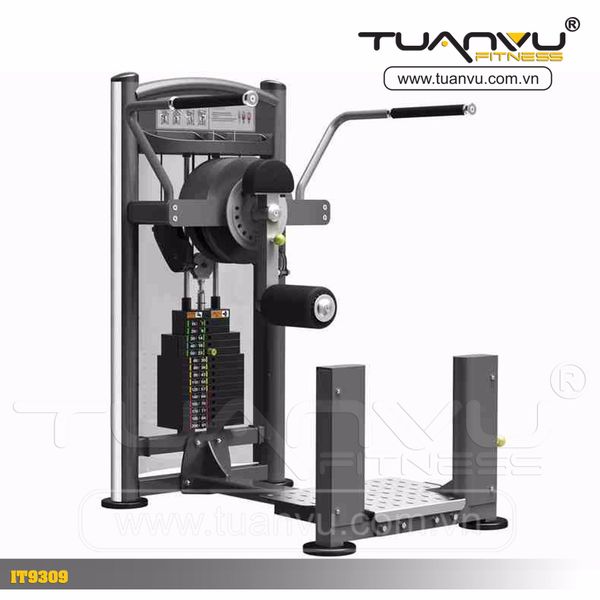 Máy tập cơ hông Impulse IT9309, may tap co hong Impulse IT9309, Impulse IT9309, IT9309
