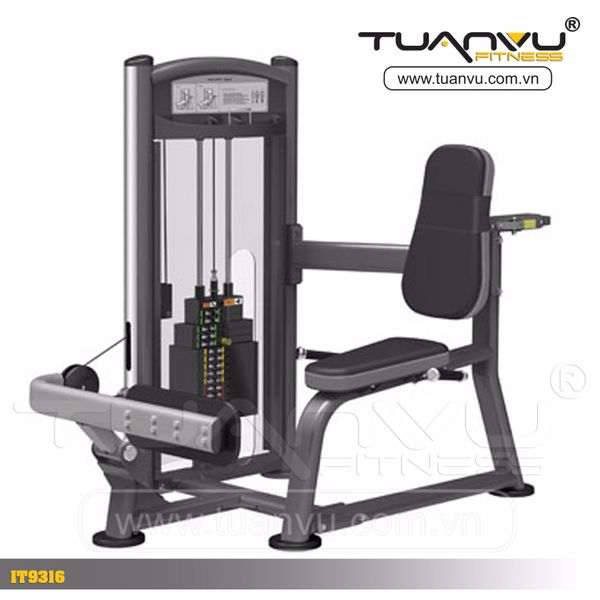 Máy tập bắp chân Impulse IT9316