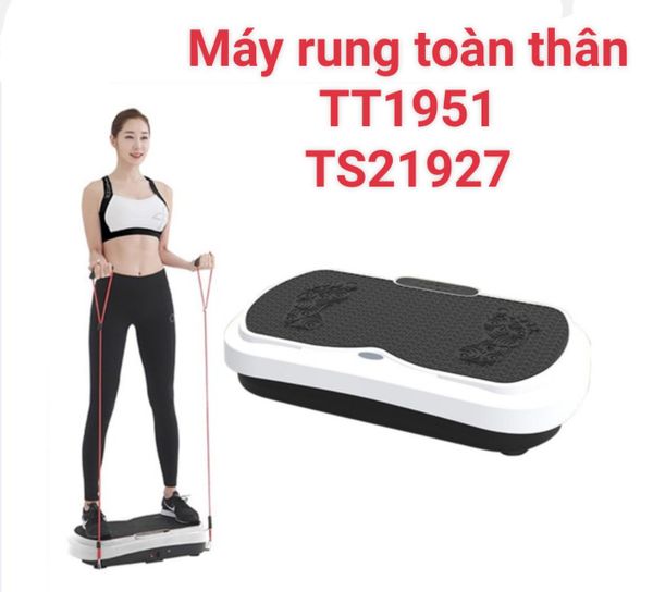 Máy rung toàn thân TT1951 – TS21927, may rung toan than