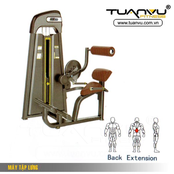 Máy tập lưng, May tap lung