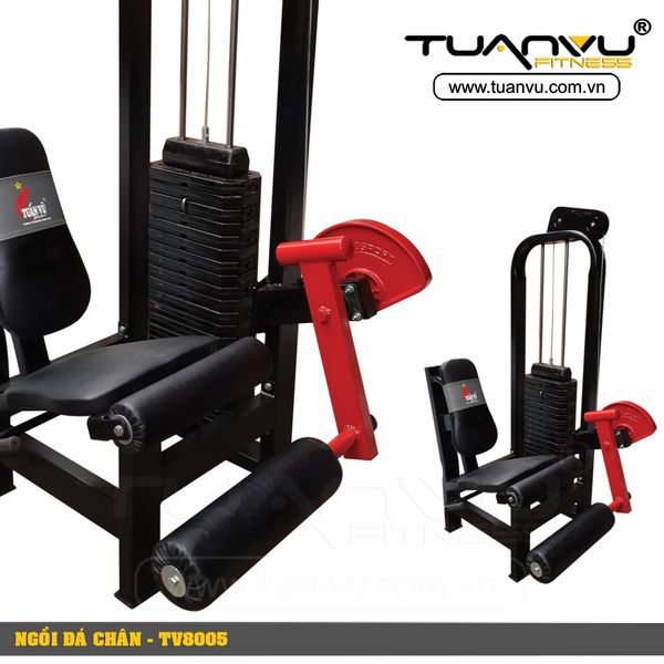 Máy ngồi đá chân Tuấn Vũ TV8005, may ngoi da chan tuan vu  TV8005,  TV8005, máy ngồi đá chân, may ngoi da chan