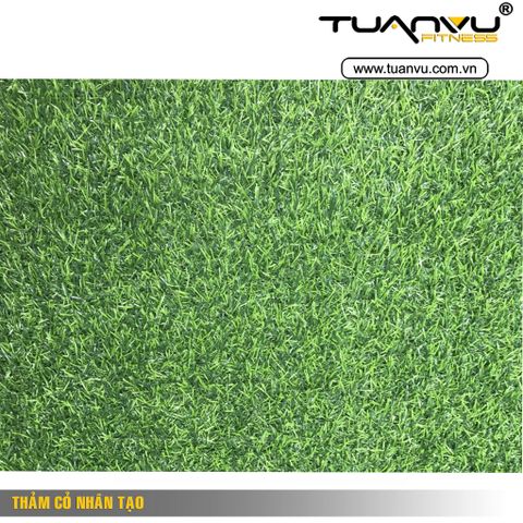 thảm cỏ nhân tạo, tham co nhan tao, thảm cỏ nhân tạo trong nhà, tham co nhan tao trong  nha, thi cong co nhan tao, thi công cỏ nhân tạo, thảm cỏ nhân tạo Hà Nội, tham co nhan tao Ha Noi