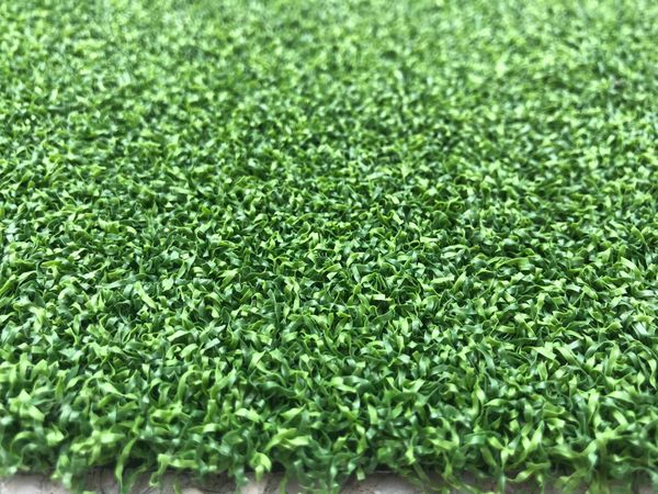 Thảm cỏ nhân tạo sân Golf, tham co nhan tao san golf