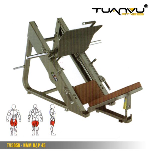 máy Nằm đạp 45 độ TV5056, may nam dap 45 dọ TV5056, máy nằm đạp 45 độ, may nam dap 45 do