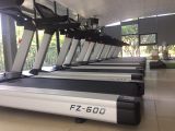 Máy chạy bộ điện FZ600, May chay bo dien FZ600, FZ600, máy chạy bộ, may chay bo, máy chạy bộ điện, may chay bo dien